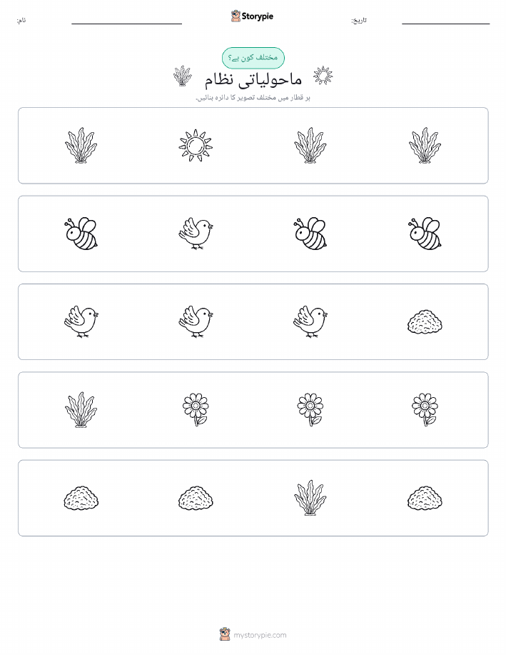 عجیب ایک