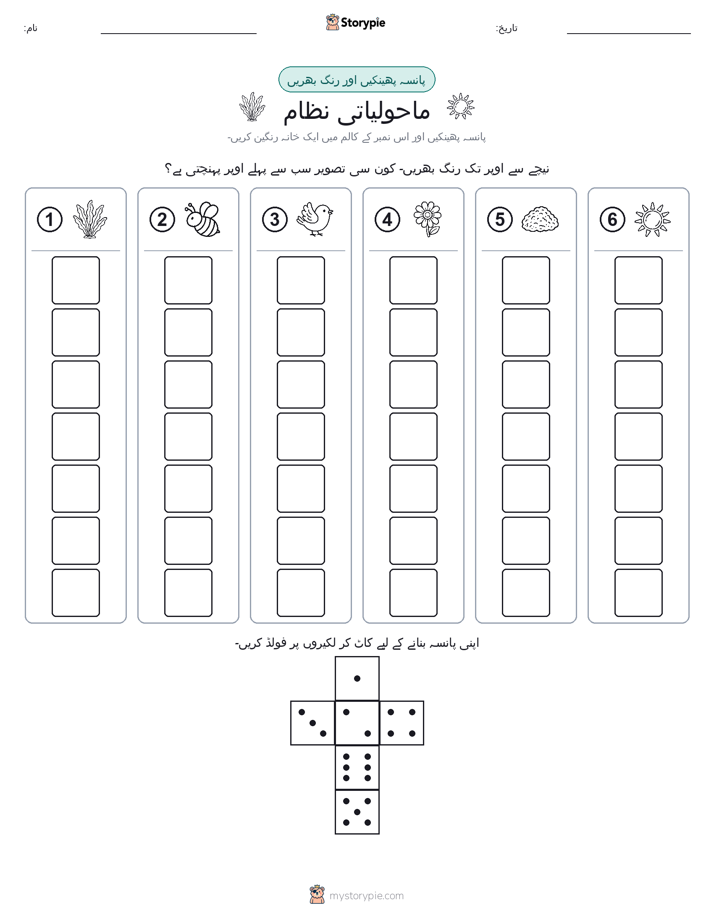 رول اور رنگ