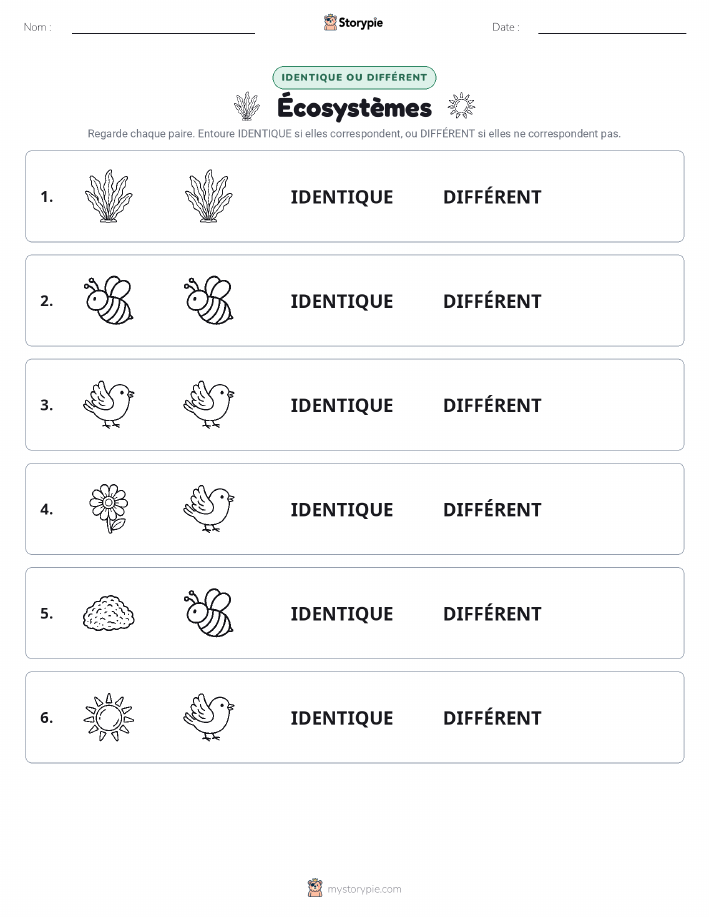 Identique ou Différent