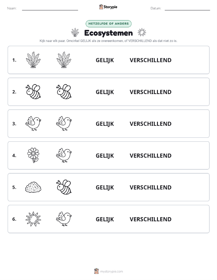 Zelfde of Verschillend