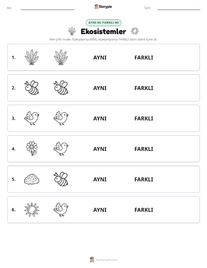 Aynı mı Farklı mı