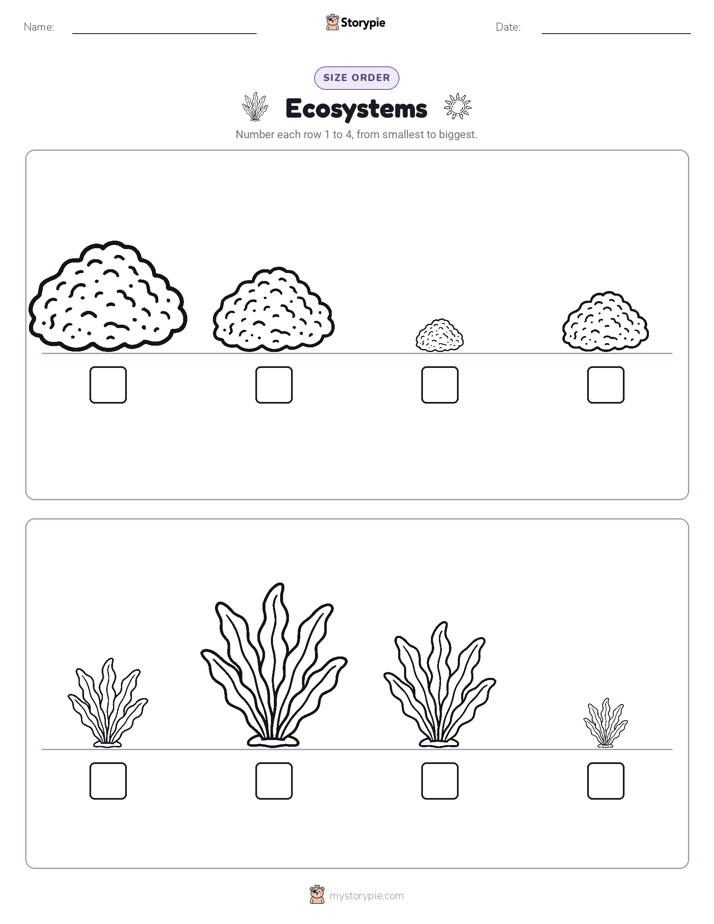 Size Order
