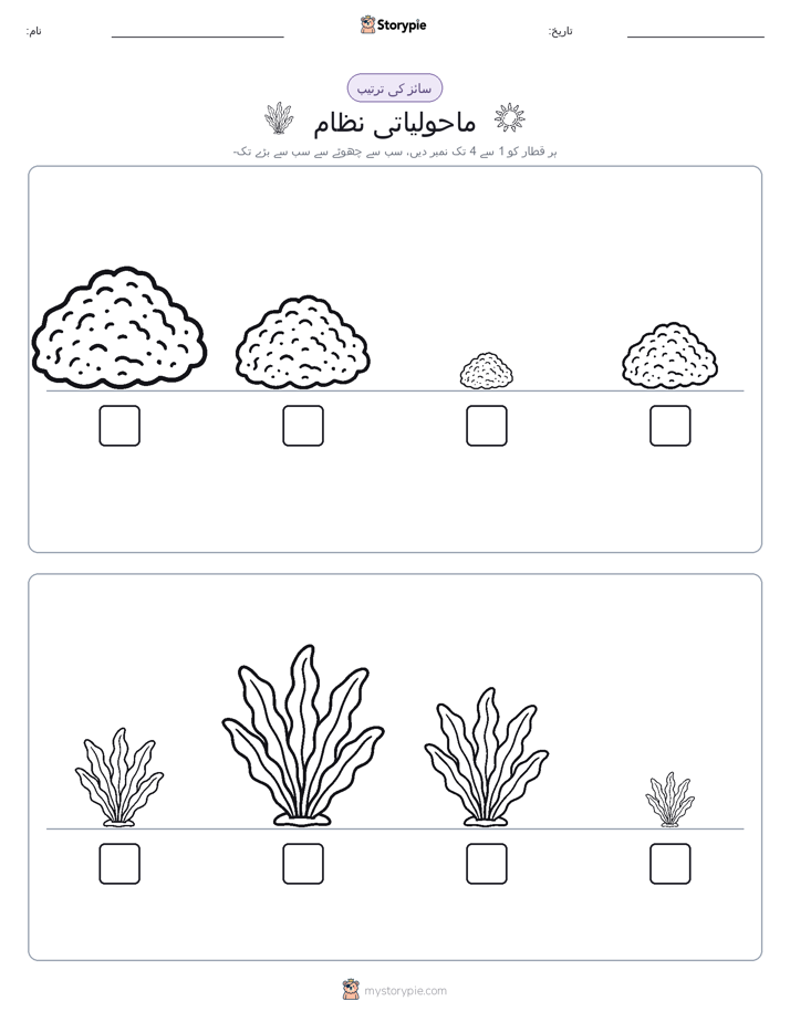 سائز کی ترتیب