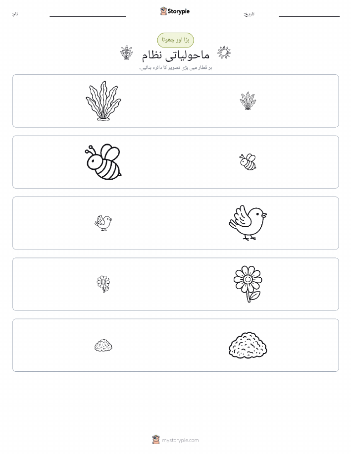 ترتیب دینا