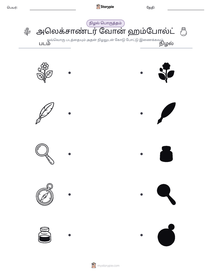 நிழல் பொருத்தம்
