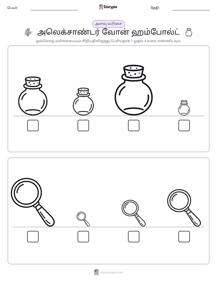 அளவீட்டு வரிசை