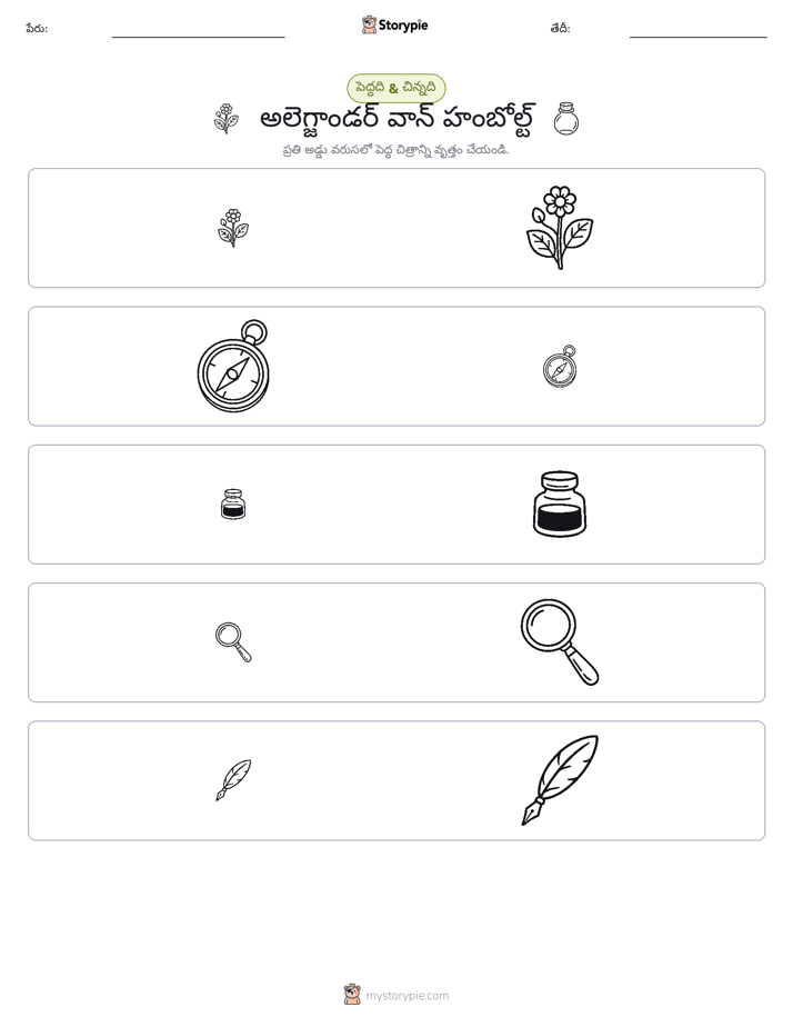 వర్గీకరణ
