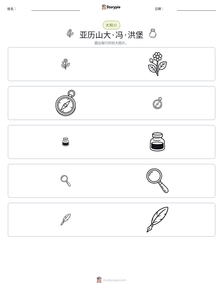 分类