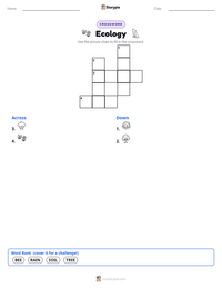 Ecology printable worksheet preview