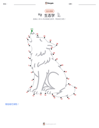 生态学 可打印工作表预览