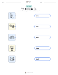 Ecology printable worksheet preview