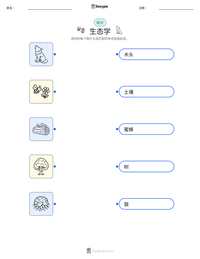 生态学 可打印工作表预览