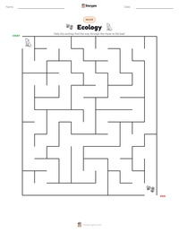 Ecology printable worksheet preview