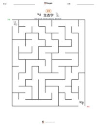 生态学 可打印工作表预览