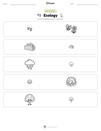 Ecology printable worksheet preview
