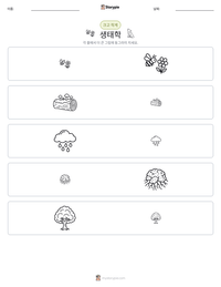 생태학 인쇄 가능한 워크시트 미리보기