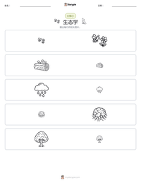 生态学 可打印工作表预览