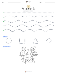 生态学 可打印工作表预览