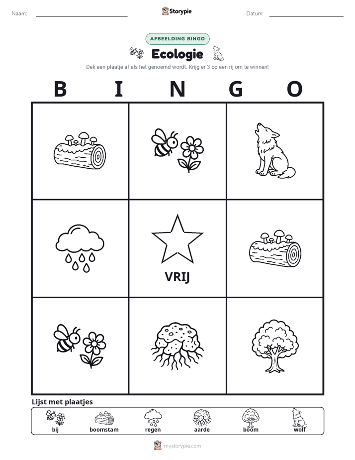Afbeelding Bingo