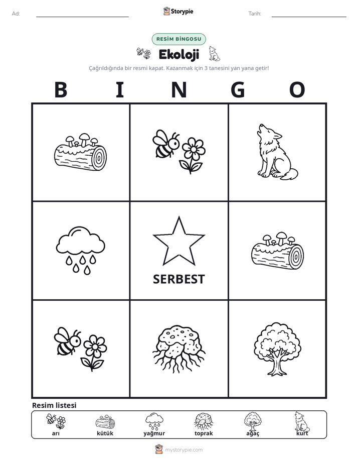 Resim Bingo