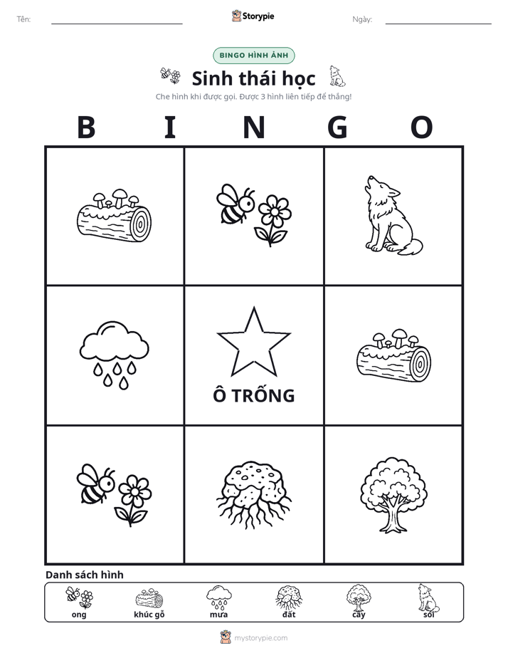 Bingo Hình Ảnh