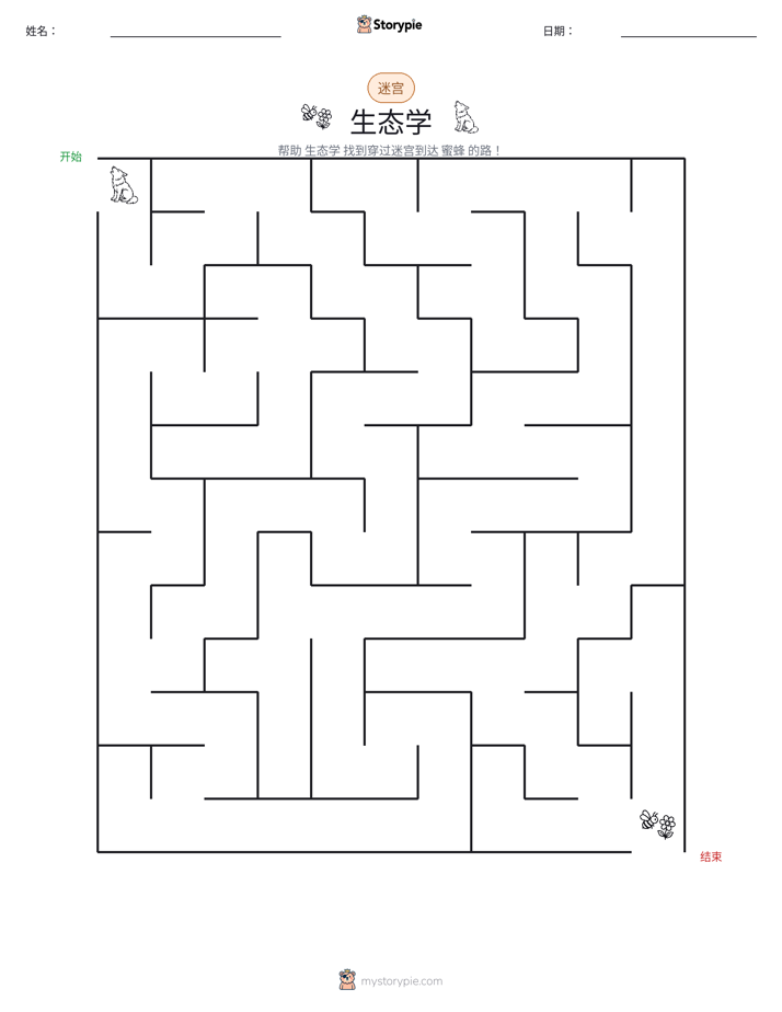 迷宫