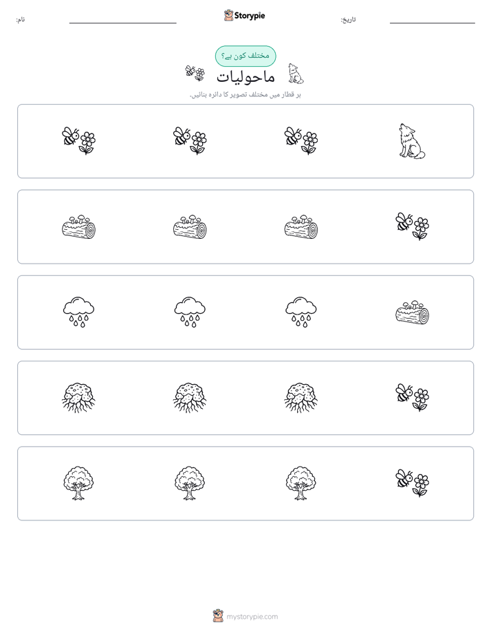 عجیب ایک