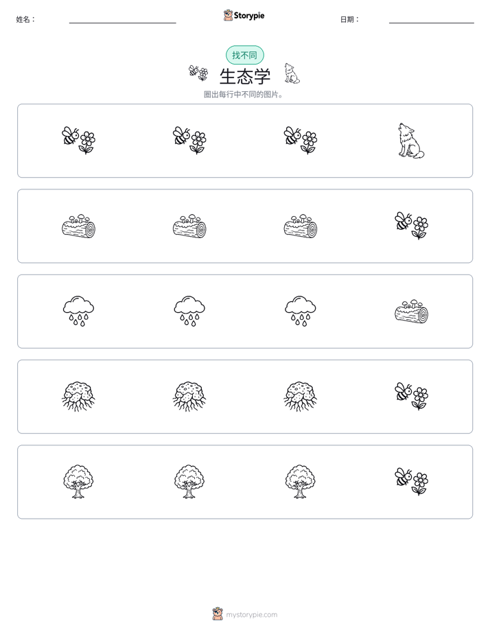 找不同