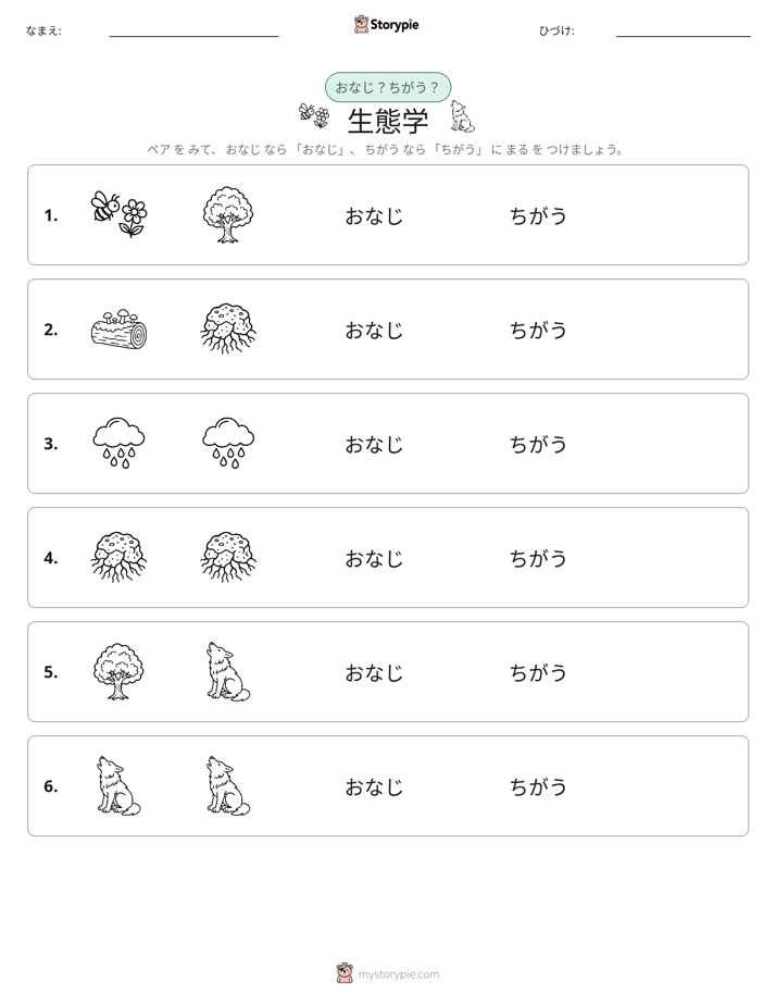 同じか違うか