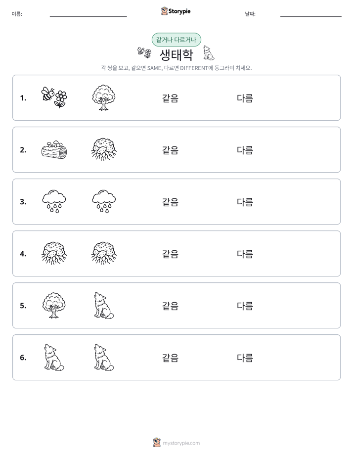같은 것 또는 다른 것