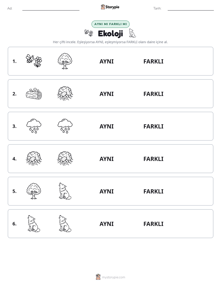 Aynı mı Farklı mı