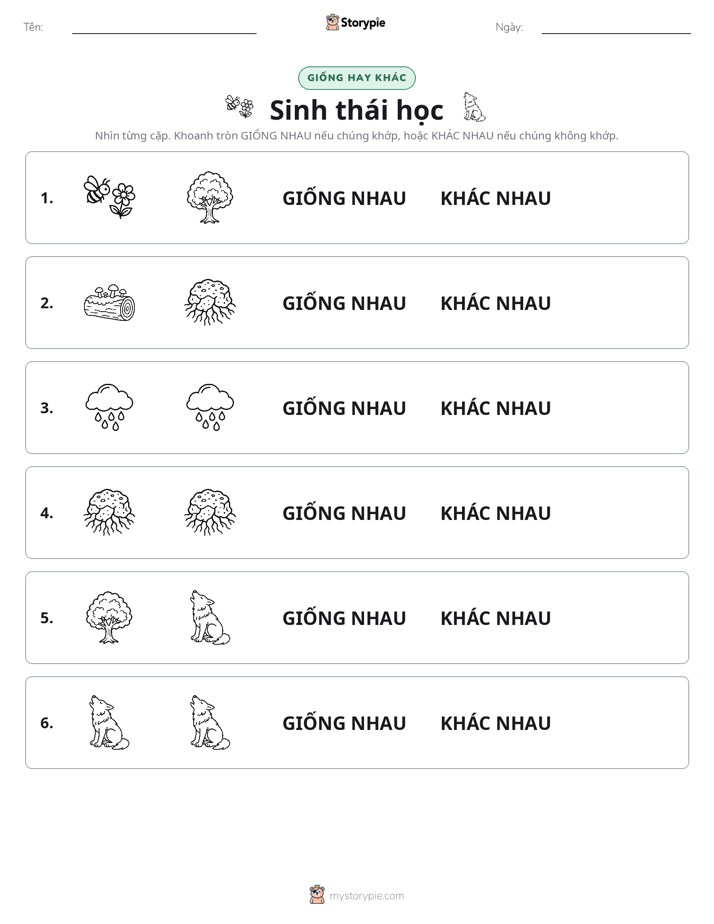 Giống Hay Khác