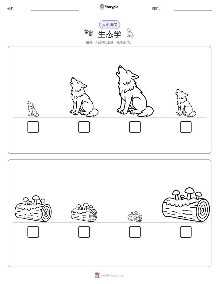 大小排序