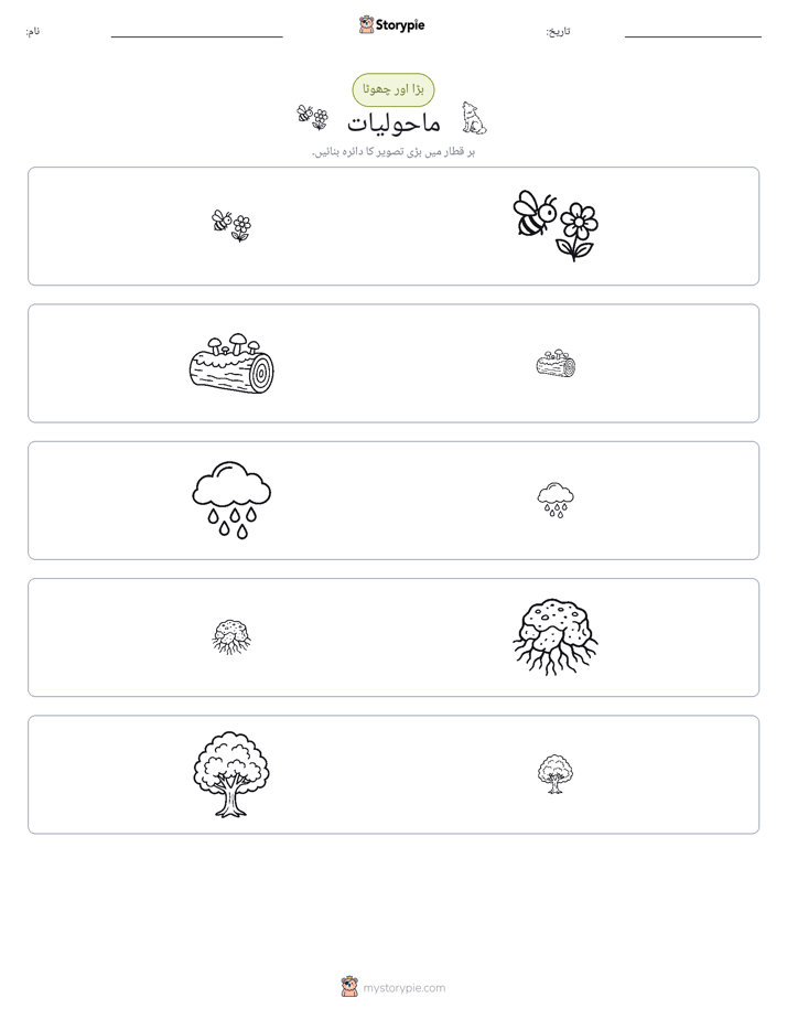 ترتیب دینا