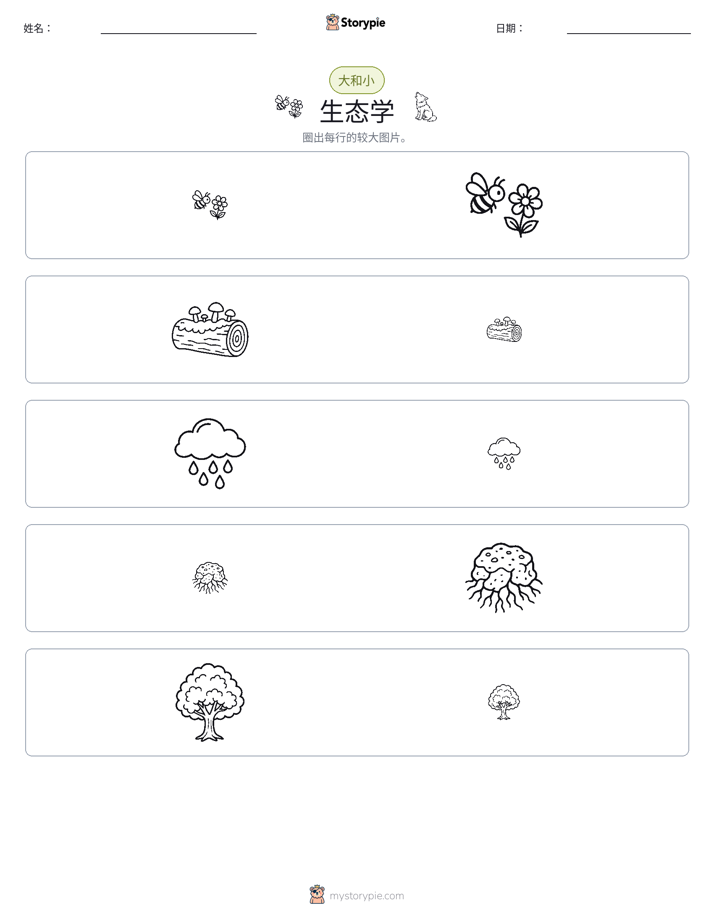 分类