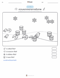 ความหลากหลาย ตัวอย่างแบบฝึกหัดที่พิมพ์ได้