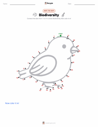 Biodiversity printable worksheet preview