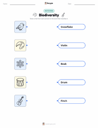 Biodiversity printable worksheet for kids