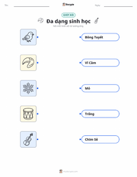 Tài liệu in sẵn Sự đa dạng cho trẻ em