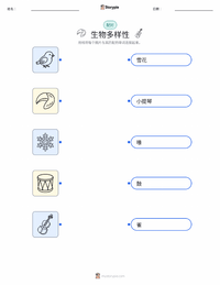 多样性 可打印工作表，适合儿童