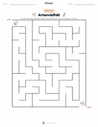 Vielfalt druckbare Arbeitsblatt Vorschau