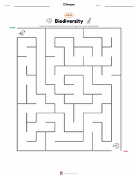Biodiversity printable worksheet preview