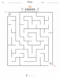 多样性 可打印工作表预览