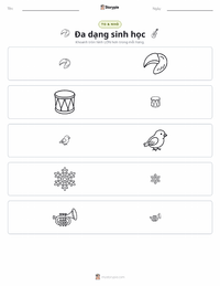 Xem trước tài liệu in sẵn Sự đa dạng