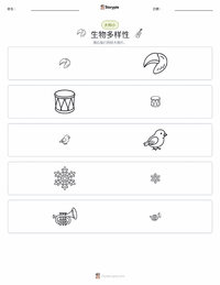 多样性 可打印工作表预览