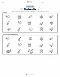 Biodiversity printable worksheet preview