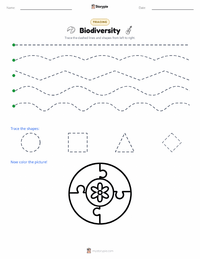 Biodiversity printable worksheet preview