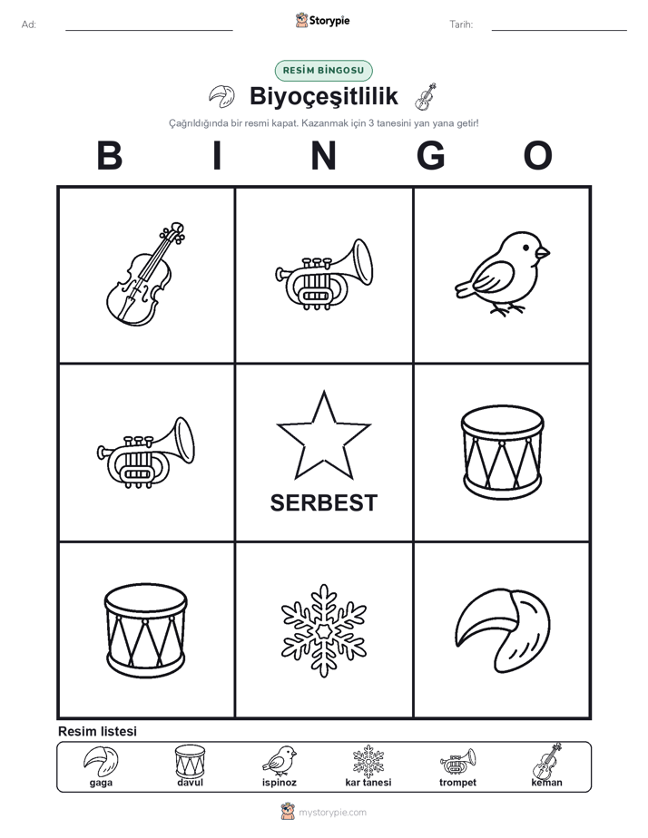Resim Bingo
