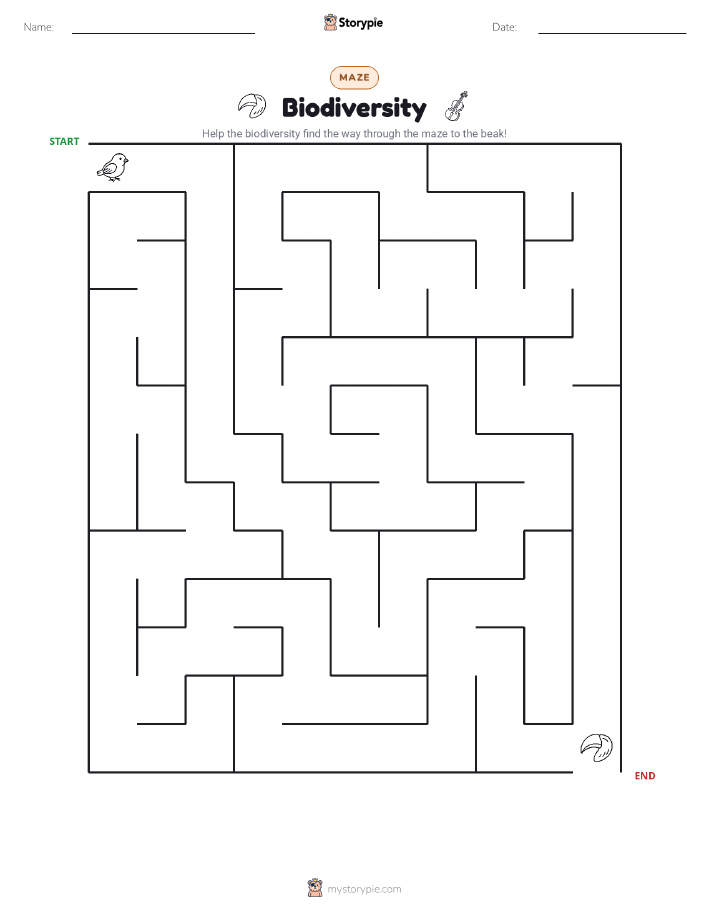 Maze