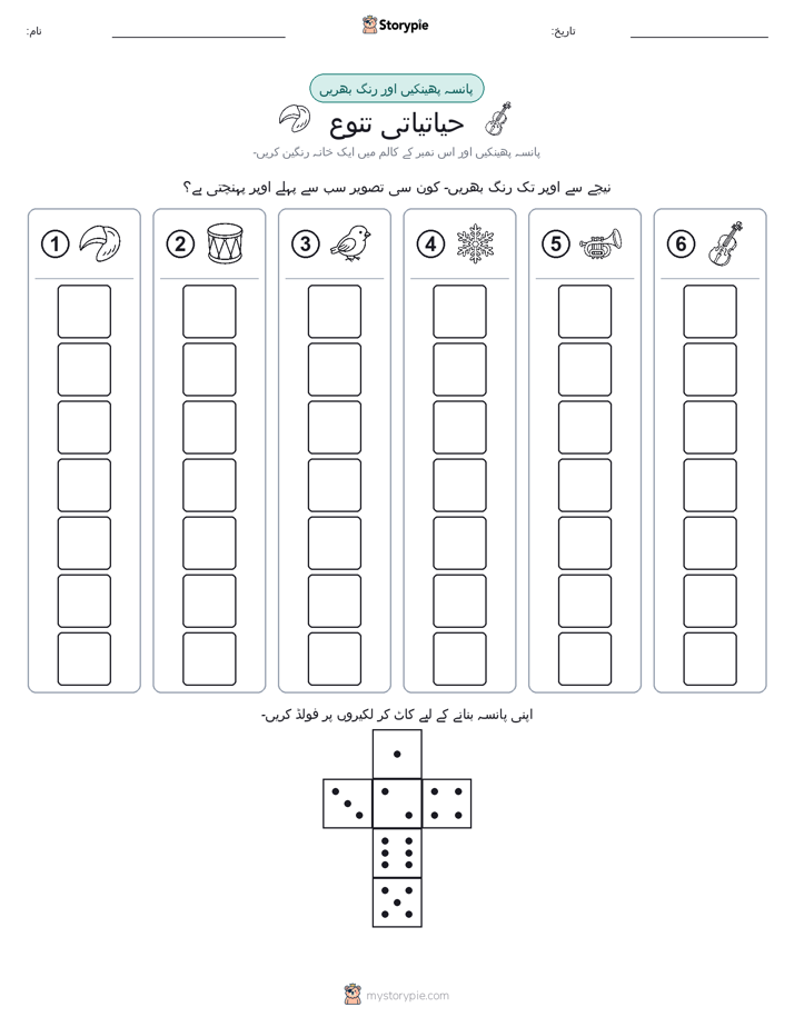 رول اور رنگ